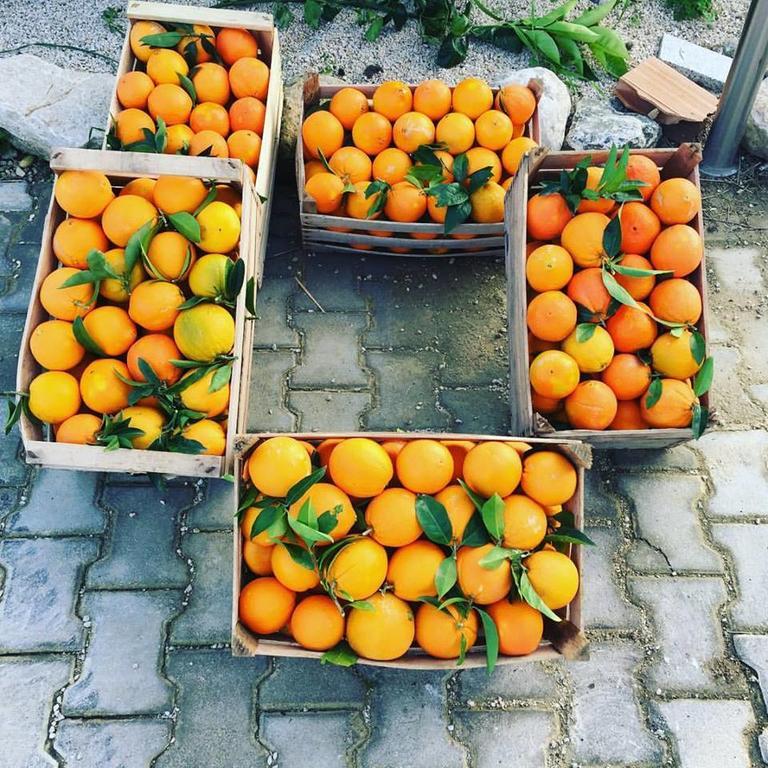Tenuta Lanza Il Mulino Vakantieboerderij